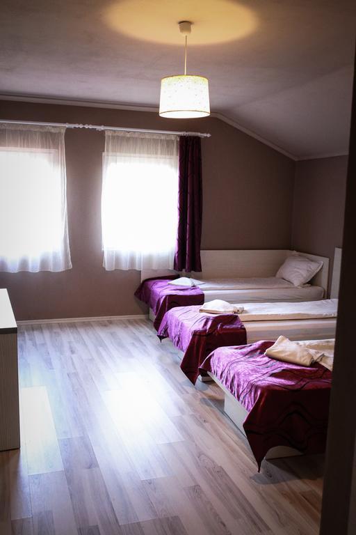 Pensiunea Oxana Lipova Oda fotoğraf