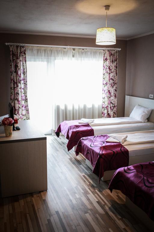 Pensiunea Oxana Lipova Oda fotoğraf
