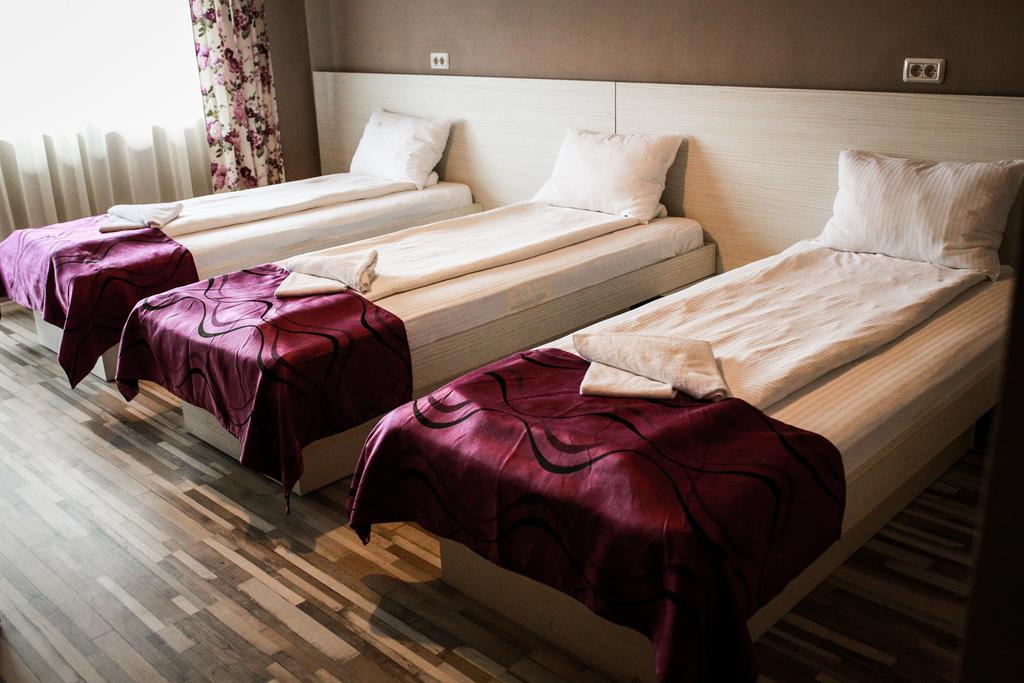 Pensiunea Oxana Lipova Oda fotoğraf